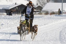 Lenk 2012 SM